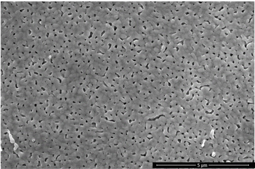 Ultra High Molecular Weight Polyethylene Microporous Membranes